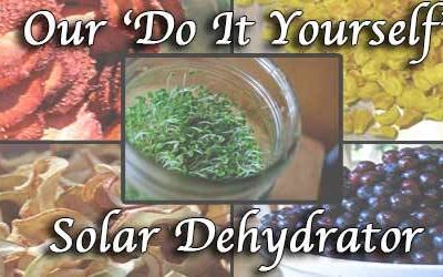 Our 'Do It Yourself' Solar Dehydrator