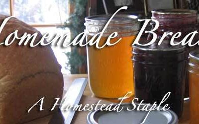 Homemade Bread - A Homestead Staple