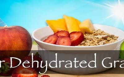 Solar Dehydrated Granola