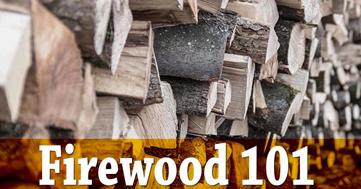 Firewood 101 Sustainable Preparedness