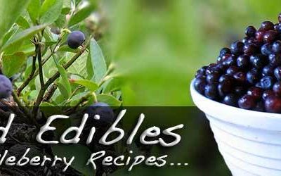 Wild Edibles & Huckleberry Recipes...