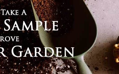 How To Take a Soil Sample and Improve Your Garden