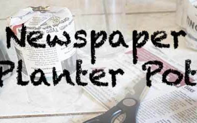 Newspaper Planter Pots