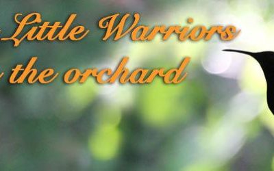 Fierce Little Warriors In The Orchard