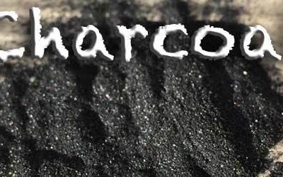 How We Use Charcoal At Our Homestead