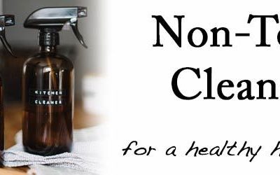 Non-Toxic Cleaners for a Healthy Homestead